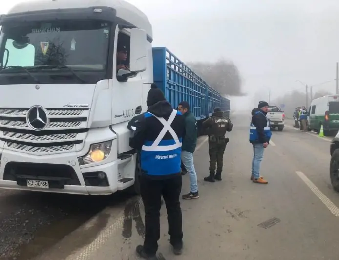 Operativo de fiscalización en Río Bueno realizó 28 controles con radar y detectó infracciones de tránsito y trazabilidad animal