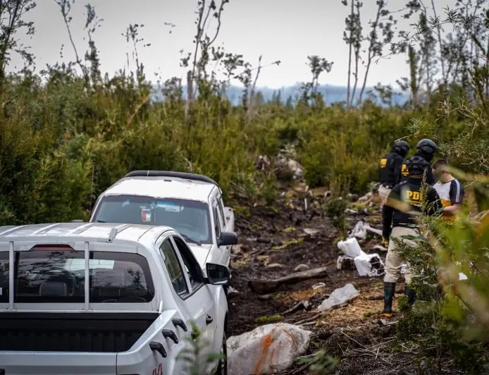 Operación "Alerta Forestal" desbarata red de tala de bosque nativo en Puerto Varas con 7 detenidos