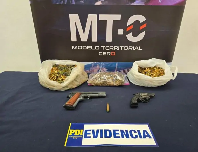 Dos detenidos por microtráfico y armas en allanamientos en Puqueldón