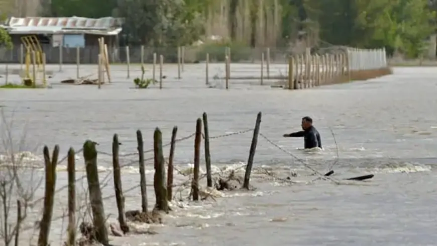 Ministerio de Agricultura declara emergencia agrícola para toda la Región de Los Ríos