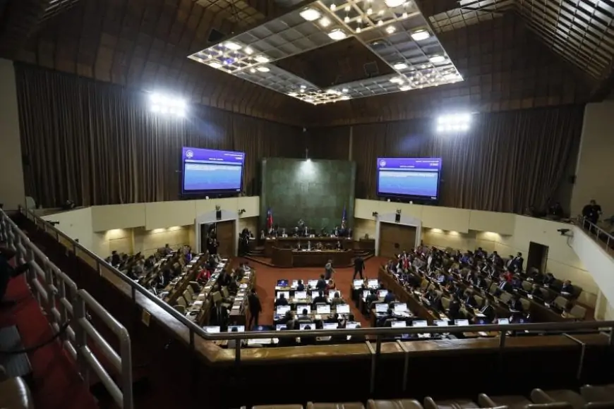 Diputados presentan proyecto para suspender por cinco años la Ley Karin