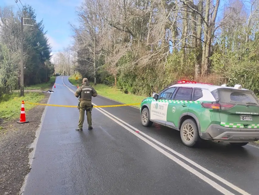 Hombre fallece atropellado en ruta T-865 en sector Ignao de Lago Ranco