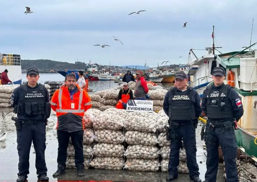 Armada y Salud de Chiloé incautan 1.500 kilos de almejas con marea roja en Quellón