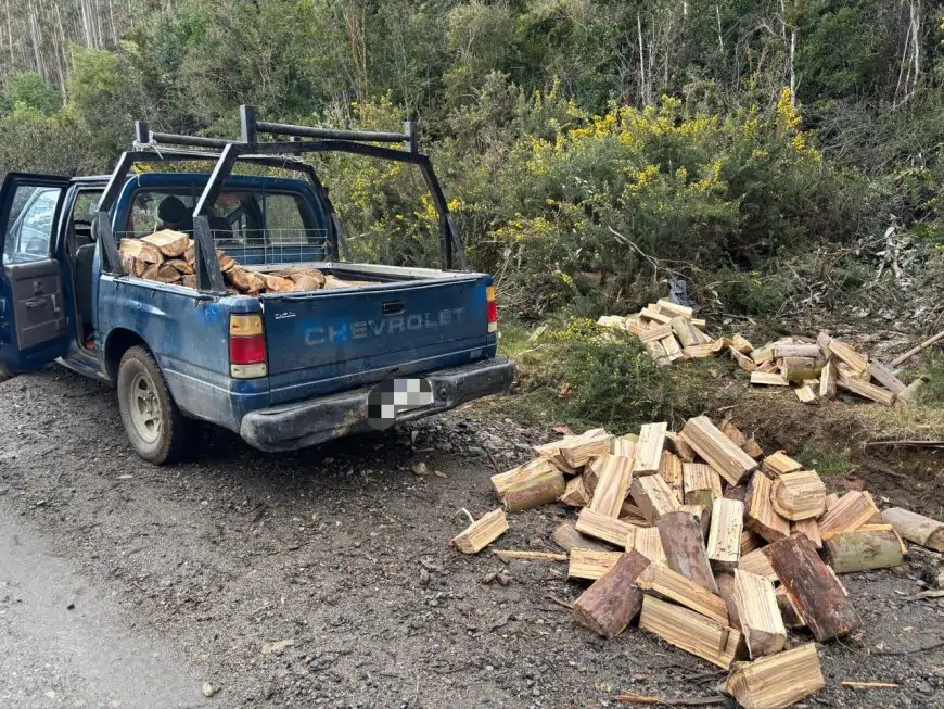 Dos hombres detenidos por sustracción de madera en el Parque Alerce Costero de Corral