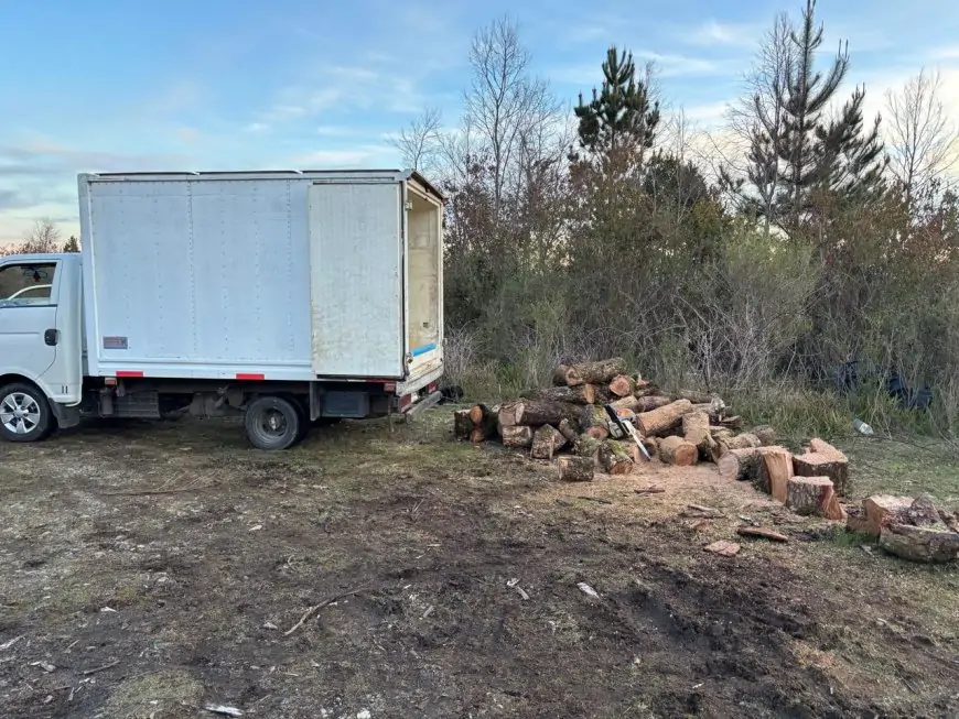PDI detiene a hombre por usurpación y sustracción de madera nativa en Santuario Llancahue de Valdivia