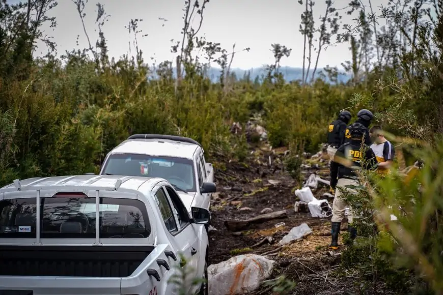 Operación "Alerta Forestal" desbarata red de tala de bosque nativo en Puerto Varas con 7 detenidos