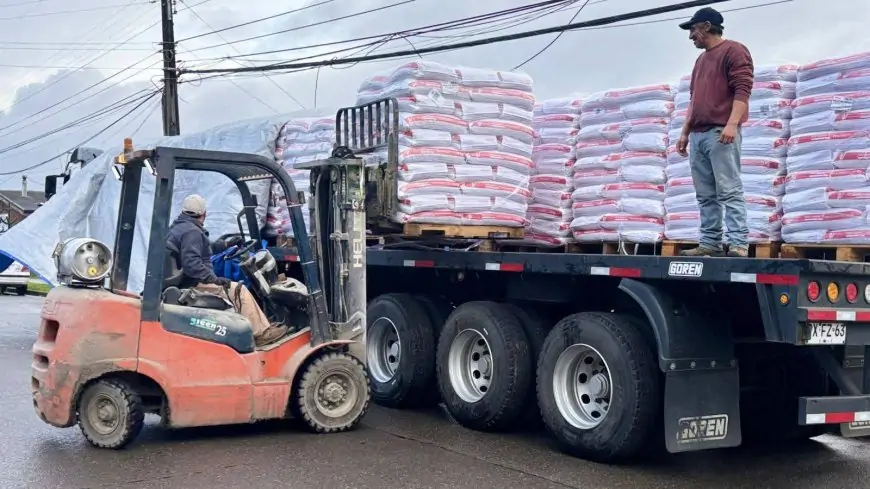 Más de 27 toneladas de alimento concentrado llegan a comunas con emergencia agrícola en la Región de Los Lagos