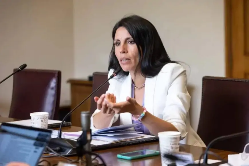 Senadora Gatica prioriza aumento de presupuesto para vivienda y critica demoras en el Consejo de Monumentos