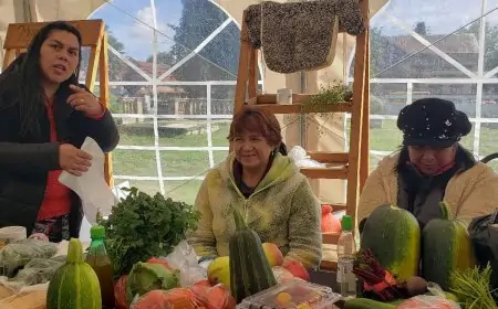 INDAP Los Ríos celebra 10 años de Mercados Campesinos con 14 puntos de venta en la región