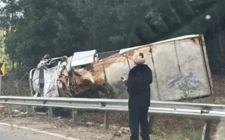 Camión de carga vuelca en ruta a Curiñanco, antes del sector Chabelita