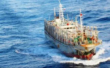Armada monitorea a flota pesquera china de 370 barcos frente a costas de Chile