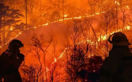 Gobierno evalúa veto sustitutivo a Ley de Incendios por reparos a financiamiento y contenido de la norma