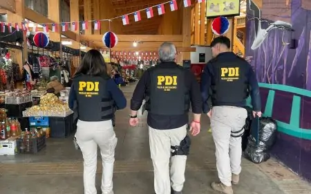 PDI detiene a 35 prófugos de la justicia y denuncia a 21 extranjeros en operativo en Los Lagos