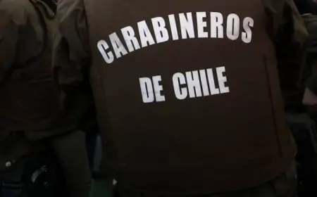 Detienen a dos carabineros en servicio activo por robo de madera y abigeato en La Unión