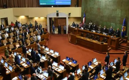 Rechazo a reforma migratoria: Gobierno pierde por un voto y busca insistir en el Senado