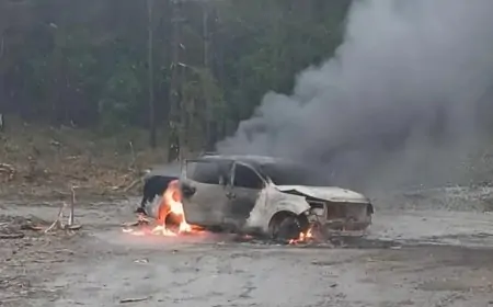 Ataque incendiario en Collipulli: desconocidos interceptan y queman camioneta de forestal en Ruta R-49