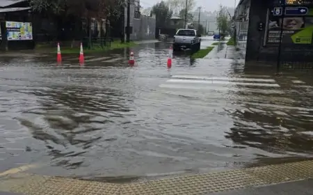 Senapred reporta más de 12.000 aislados y 643 damnificados por sistema frontal entre Biobío y Los Ríos