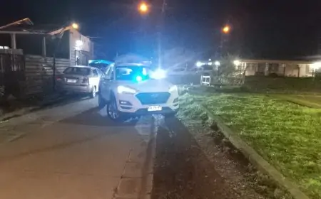 Dos detenidos por microtráfico en Río Bueno: PDI incauta cocaína, cannabis y más de $1 millón