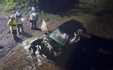 Incendio destruye vehículo en ruta al Puente Río Itropulli: conductor resultó ileso
