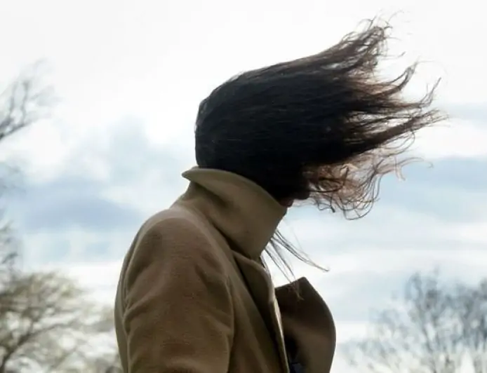 DMC alerta por viento puelche: rachas de hasta 100 km/h entre Biobío y Los Lagos este fin de semana