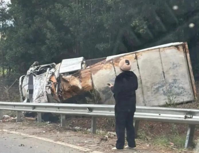 Camión de carga vuelca en ruta a Curiñanco, antes del sector Chabelita