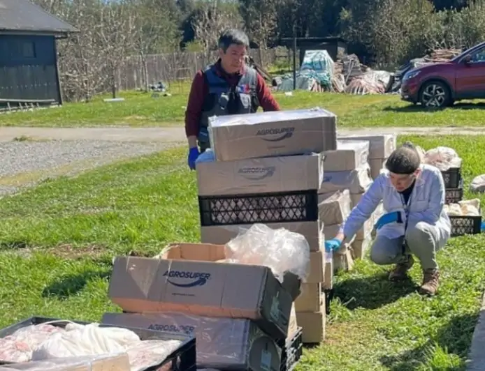 Autoridad sanitaria decomisa 434 kilos de carne clandestina en La Unión y 1.485 kilos vencidos en Mariquina