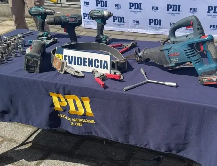 PDI desarticula banda vinculada a más de 15 robos de cobre en redes eléctricas rurales de Los Ríos