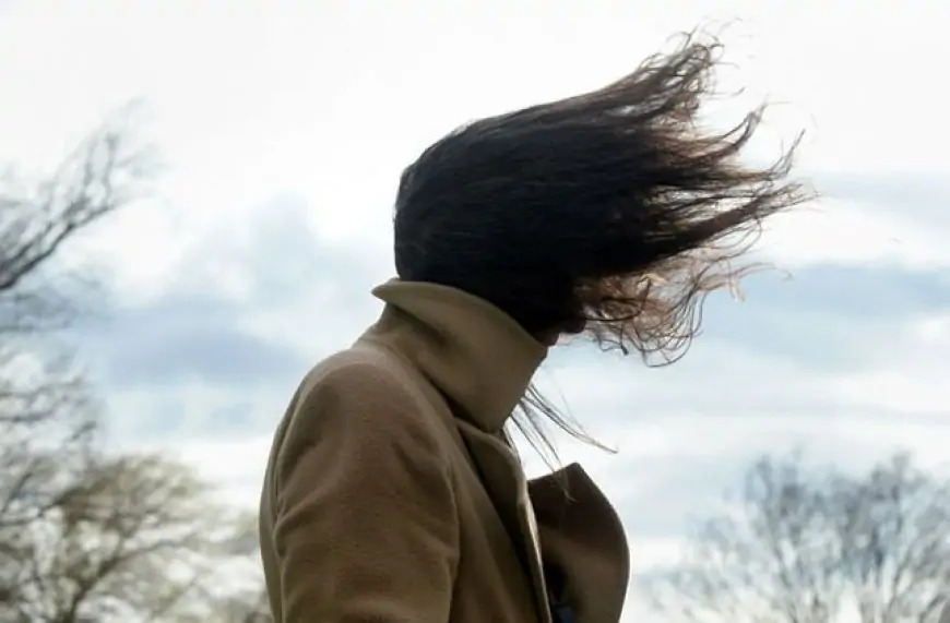 DMC alerta por viento puelche: rachas de hasta 100 km/h entre Biobío y Los Lagos este fin de semana