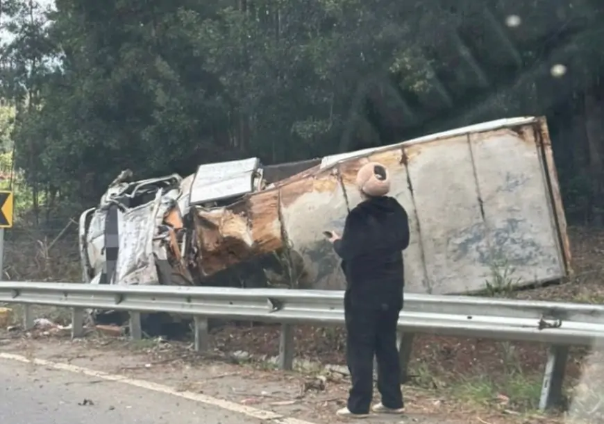 Camión de carga vuelca en ruta a Curiñanco, antes del sector Chabelita