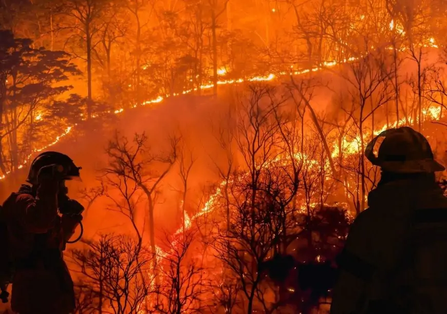 Gobierno evalúa veto sustitutivo a Ley de Incendios por reparos a financiamiento y contenido de la norma