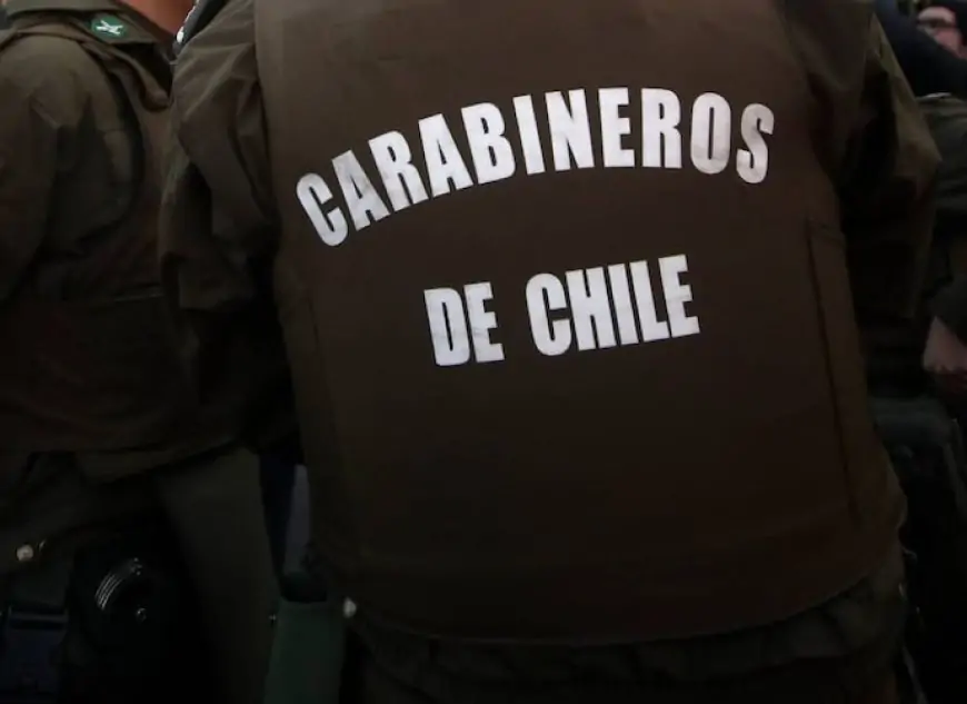 Detienen a dos carabineros en servicio activo por robo de madera y abigeato en La Unión