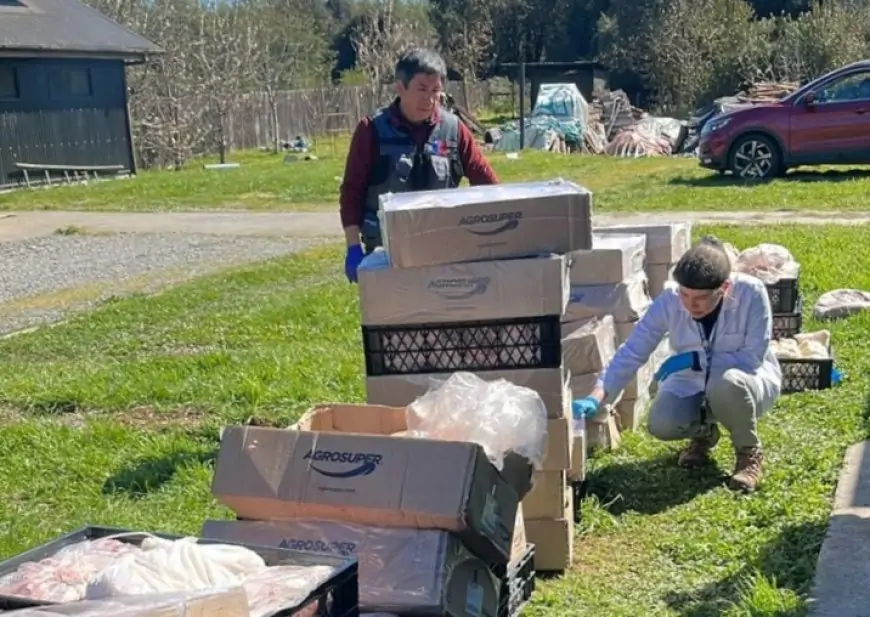 Autoridad sanitaria decomisa 434 kilos de carne clandestina en La Unión y 1.485 kilos vencidos en Mariquina
