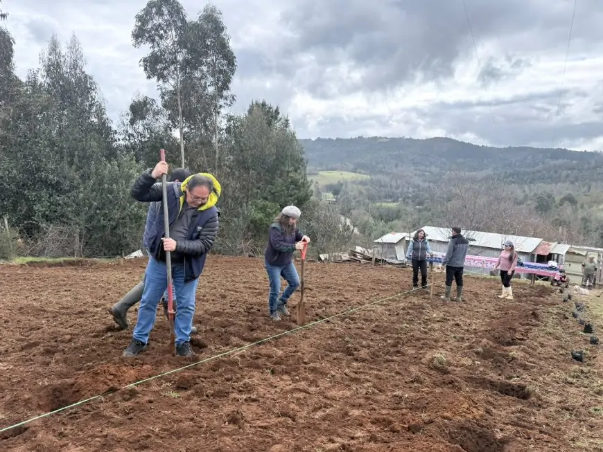 INDAP y CONAF impulsan huertos de frutos silvestres en predios de agricultores de Los Ríos