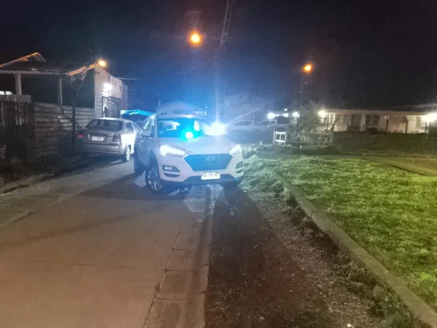 Dos detenidos por microtráfico en Río Bueno: PDI incauta cocaína, cannabis y más de $1 millón