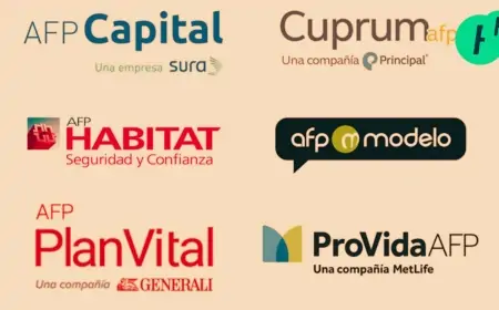 Afiliados presentan recursos de protección contra AFP por pérdidas millonarias en Fondo E