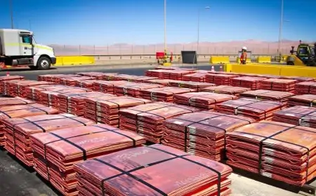 Operación Veta Roja: allanan oficinas de Codelco y detienen a 59 personas por robo de cobre