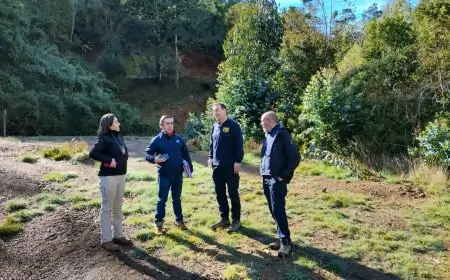 Histórico fallo ambiental: condenan a 5 años de presidio y multa de $2.100 millones por destruir humedal en Mariquina