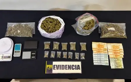 PDI desarticula banda y detiene a tres personas con más de un kilo de cannabis en Valdivia