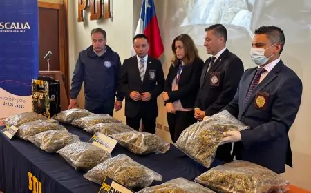 Operación Reflejo: detienen a hombre en Puerto Montt y decomisan más de 27 kilos de marihuana