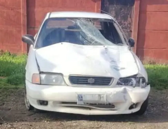 Mujer de 36 años muere atropellada en Valdivia:  vehiculo fue ubicado y hay una persona sujeta de interés