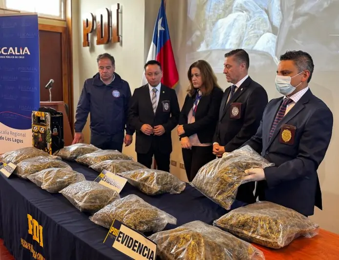 Operación Reflejo: detienen a hombre en Puerto Montt y decomisan más de 27 kilos de marihuana