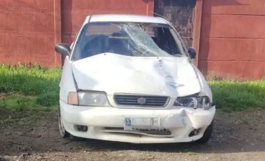 Mujer de 36 años muere atropellada en Valdivia:  vehiculo fue ubicado y hay una persona sujeta de interés
