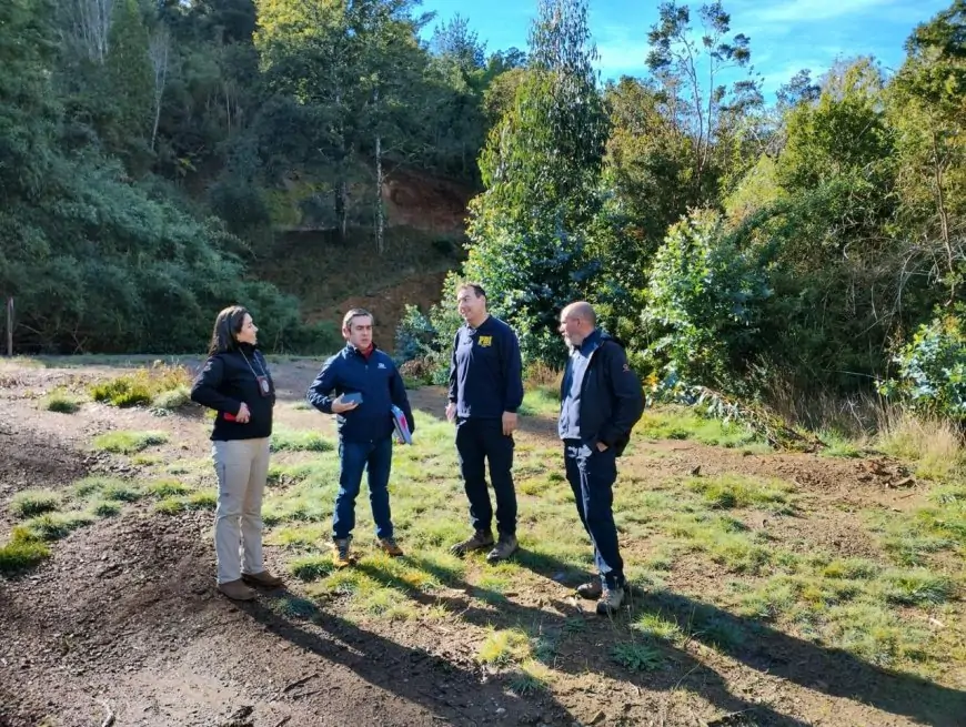Histórico fallo ambiental: condenan a 5 años de presidio y multa de $2.100 millones por destruir humedal en Mariquina