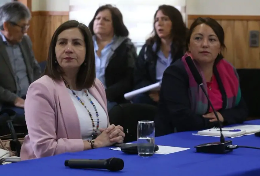 Alcaldesa subrogante de Río Bueno asegura revisión exhaustiva de licitaciones tras crisis
