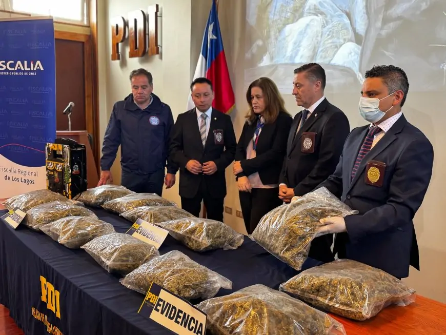 Operación Reflejo: detienen a hombre en Puerto Montt y decomisan más de 27 kilos de marihuana